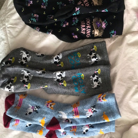 5 count sock set - Picture 3 of 5